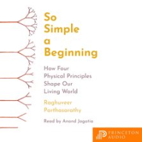 So_Simple_a_Beginning
